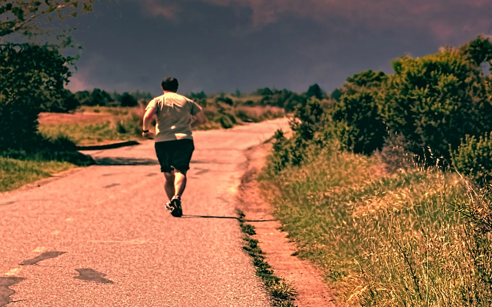 Una persona corre por un camino rural entre campos.