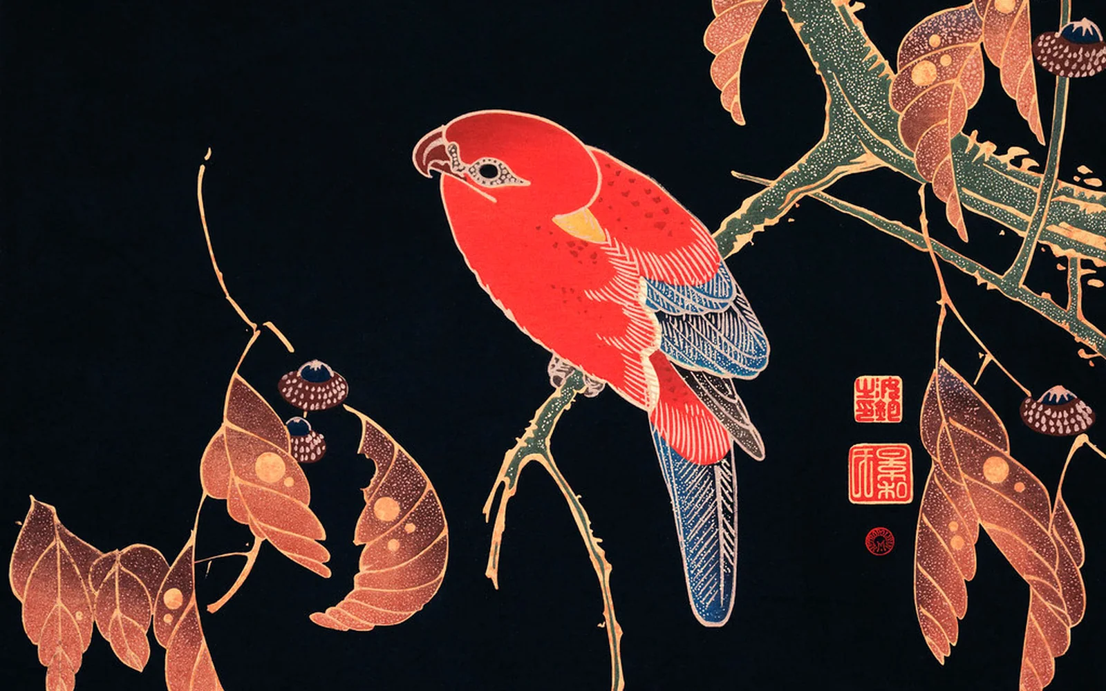 Ilustración histórica de un loro rojo digitalizada por un museo.