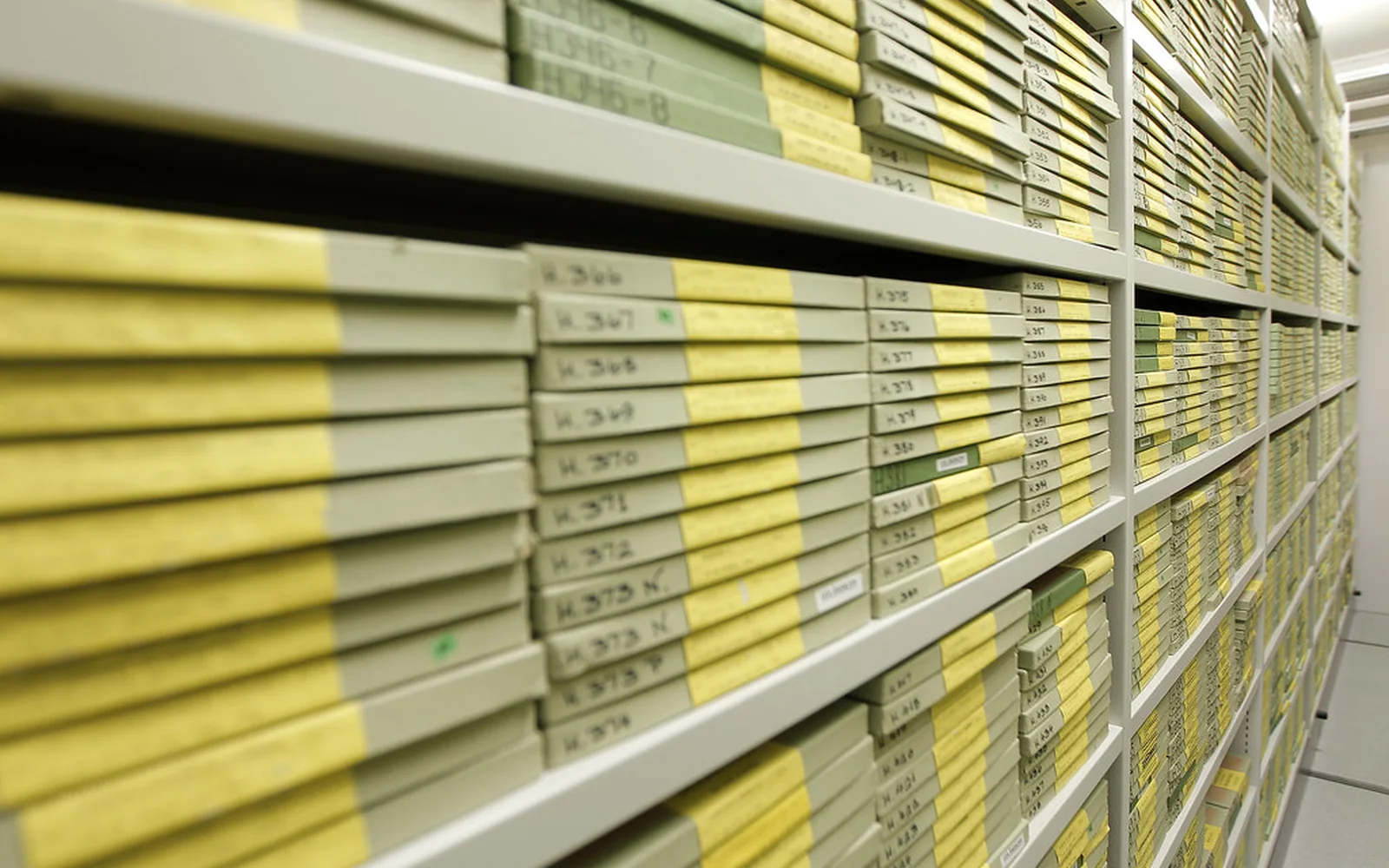Estanterías de un archivo cinematográfico llenas de cajas de película.