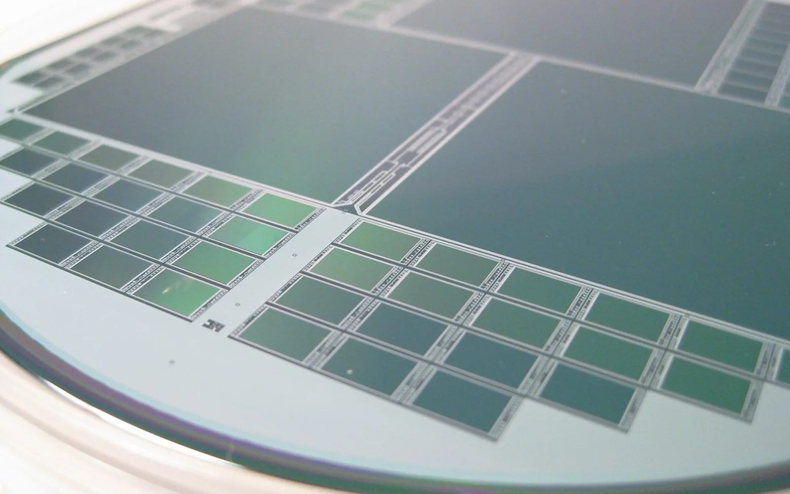 Oblea de silicio con una cuadrícula de circuitos semiconductores.
