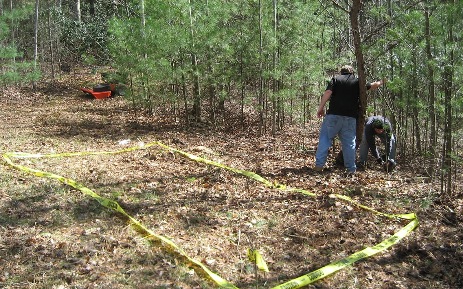 Una persona examina el suelo y las raíces en un bosque.