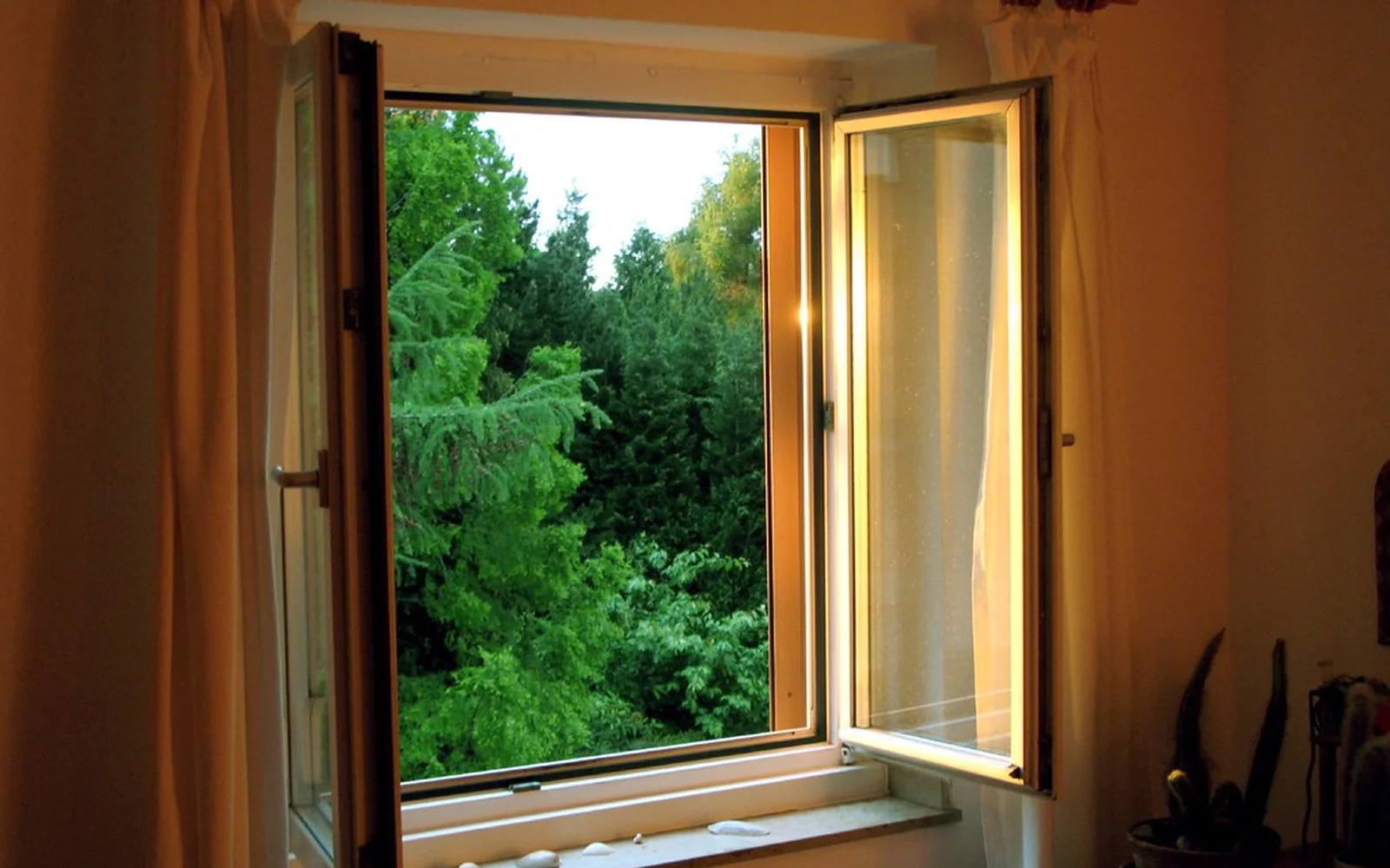 Ventana abierta hacia un jardín verde desde una habitación.